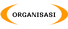 ORGANISASI